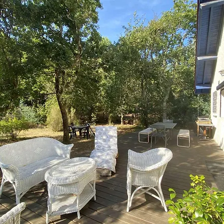 Rénovée Avec Terrasses, Proche Forêt - 8 Pers, Calme, Wifi Et Ménage Inclus - Fr-1-736-7 Lège-Cap-Ferret