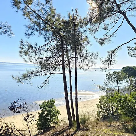 Willa Renovee Avec Terrasses, Proche Foret - 8 Pers, Calme, Wifi Et Menage Inclus - Fr-1-736-7
